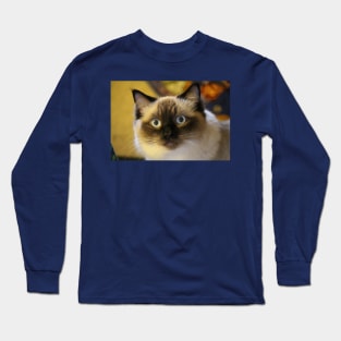 Beautiful RagDoll Cat Long Sleeve T-Shirt
